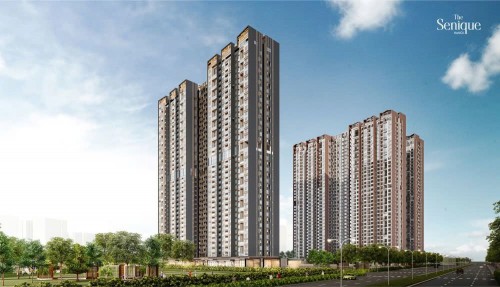 Trần thạch cao toà SP - The Senique CapitaLand